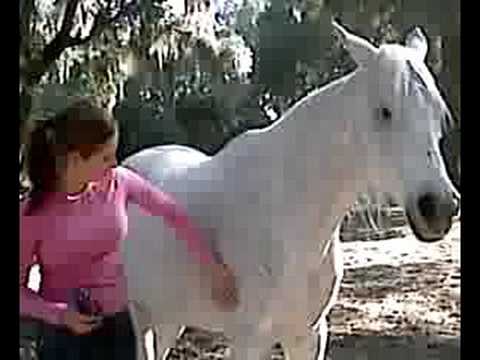 Horse Ka Sat Giral Ke Xvideo - horse and girl - YouTube