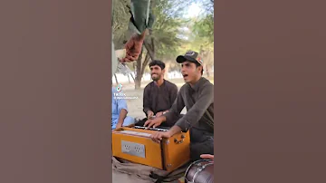 Balochi Song Balochi Status Ustad Taj Baloch Shortsfeed Song Balochimusic 