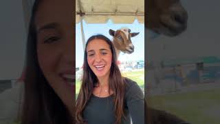 Should We Buy One?? Pink Palm Puff