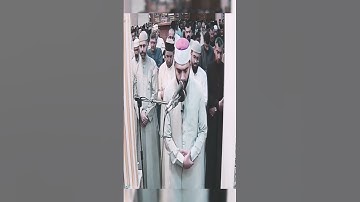تلاوة ماتعة على مقام البيات