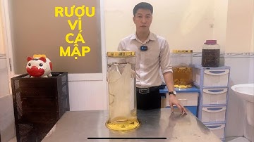 Rượu vi cá mập cực hiếm I Út Nghĩa Bình Dương