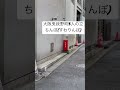 大阪兎我野町(とがのちょう)3人の立ちんぼ(すわりんぼ)