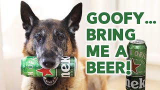 Best Dog Trick EVER  Bring Me a BEER