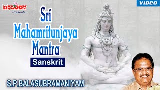 Sri MahaMrityunjaya Mantra Chanted by S. P. Balasubramaniam | Shiva Chant | Sivan Chant | SPB |