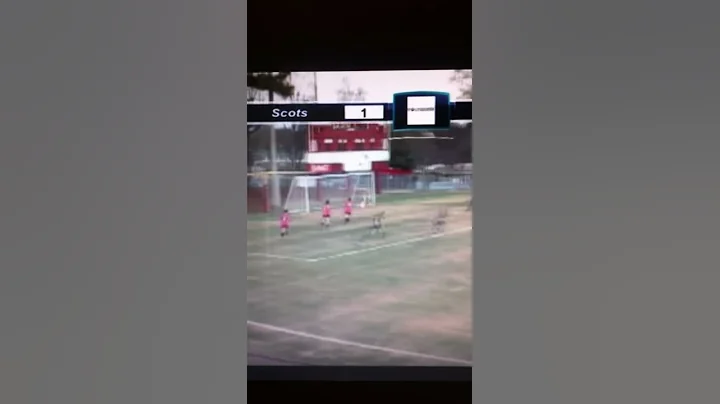 Merrill and Amelia score
