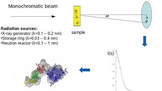 Biological Small-Angle X-ray Scattering | Wikipedia audio article