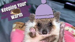 Hedgehog Heating & What Not To Use by Tori Lynn 49,726 views 4 years ago 10 minutes, 35 seconds