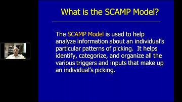 Application of the ComB Model to the Treatment of Compulsive Skin Picking