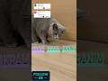 كتب أسماء أعز الأصدقاء عندك Futw هدية Cat Lisa هدايا اكسبلور تيك توك كتب أسماء أعز الأصدقاء عندك Futw هدية Cat Lisa هدايا اكسبلور تيك توك