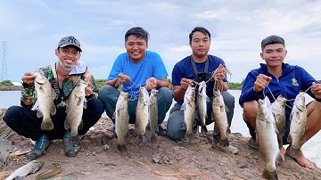 1 ngày cùng mấy anh em đi câu cá chẽm ở thừa Đức bình đại bến Tre