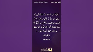 القارئ الشيخ محمد باسردة ما تيسر من #سورة_الأعراف