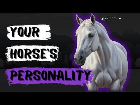 The Psychology Behind Horse Personalities