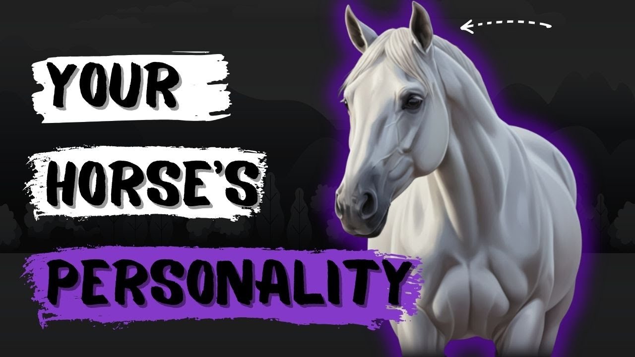 The Psychology Behind Horse Personalities