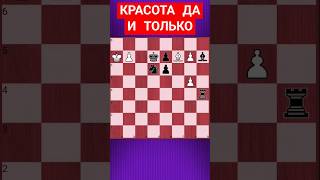 💥ЖУТКАЯ ГОЛОВОЛОМКА #шахматы #шахматныезадачи #chess #chesspuzzle