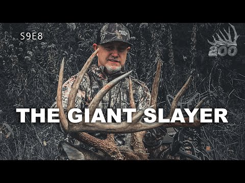 The Giant Slayer