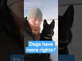 In Finland dogs have more rights than humans? #finland #dog #animalrights