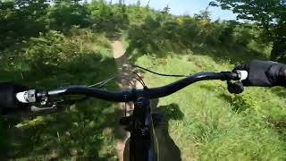 Guisborough woods when the weather is this nice. You can’t so no to that 