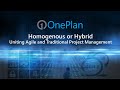 Homogeneous or Hybrid: Uniting Agile and Traditional Project Management in One Environment