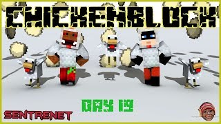ChickenBlock Day 19