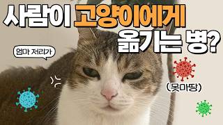 사람이 많이 걸리는 질병 중 “이것”은 고양이에게 전파됩니다 by 미야옹철의 냥냥펀치 75,638 views 2 months ago 7 minutes, 49 seconds