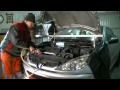 Peugeot / Citroen 1.6 l 16V Replacing timing belt and water pump