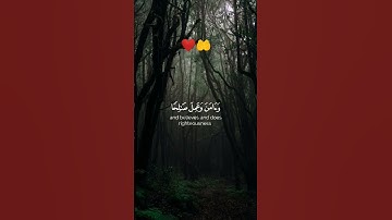 ريلز جميل بصوت المقارئ شريف مصطفى #القرآن