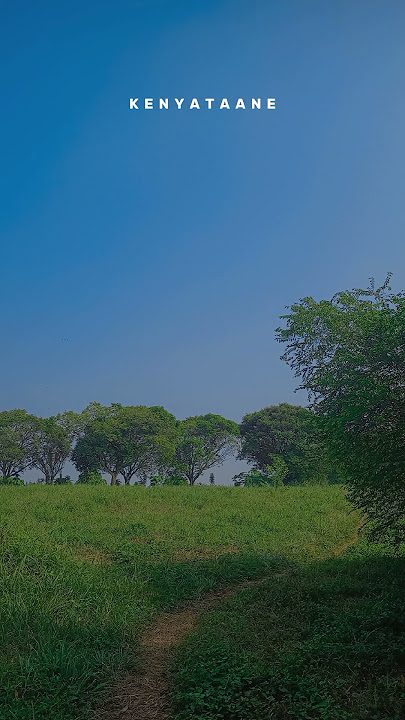 Denny Caknan Feat Om Wawes Dumes Story Wa 2024 !!! #dennycaknan #lagujawa #dumes