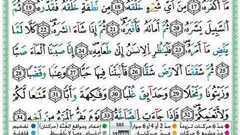 سورة عبس مكتوبة / حمزة الجزائري