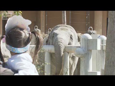 東山動植物園で「春まつり」　開園から家族連れでにぎわう(2026年3月14日)
