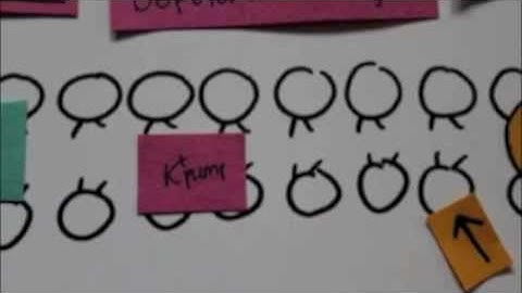 The Action Potential Project