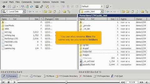 Managing files in WinSCP by VodaHost web hosting