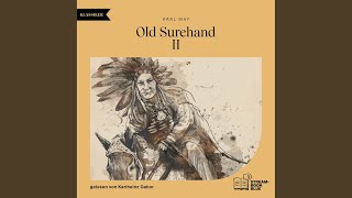 Kapitel 2 - Teil 165 - Old Surehand II