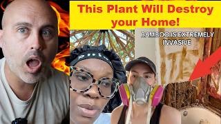 This Plant is Destroying Homes in America Right Now 😱