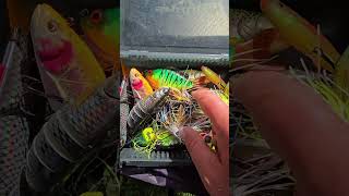 pêche en Bretagne sous le vent, les brochets mordent 💥 #youtubefishing #sportex #pike #lure