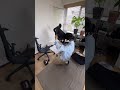 【LiberNovo】電動ワークチェア #pr 詳細はコメント欄に https://bit.ly/4u7LybE