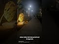 Albert Ekka War Memorial Park | Agartala | India | Jai Hind | Indian Army #shorts