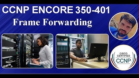 CCNP ENCOR Complete Course || Frame Forwarding || Explained in Pashto by Abdullah Sorush