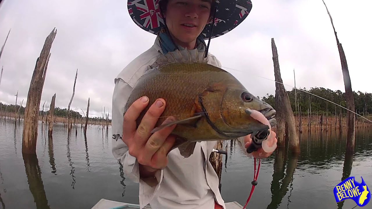 Sooty Grunter Fishing Koombooloomba YouTube Sooty Grunter Fishing Koombooloomba YouTube