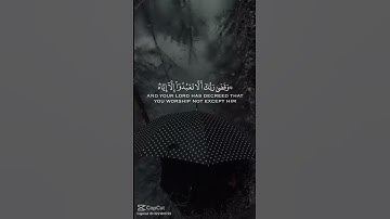الشيخ ياسر الدوسري تلاوة القرآن #اكسبلور #المصحف