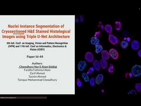 ICIEV IVPR 44: Nuclei Segmentation of Cryosectioned Histological Images Triple U-Net Architecture