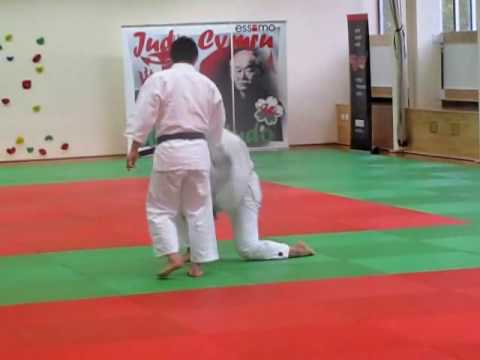 Welsh National Judo Centre Opening