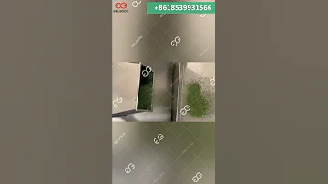 Moringa Powder Crushing Machine 