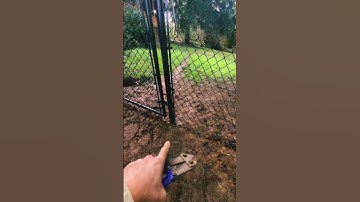 How To Make The Right Size Chain Link Gate 🔗 #fence #gate #chainlink