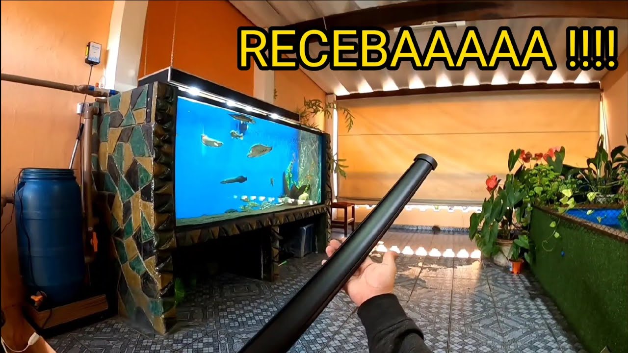 Aquário com luminária top... gastando 20,00 reais ...(veja)