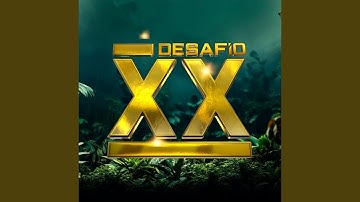 Desafío XX