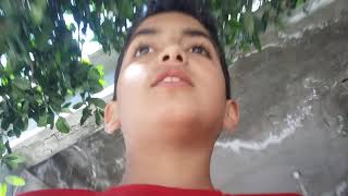 Sledermanı en son gördüğüm yer