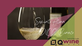 Qwine La Ferriera Semiato Atina Doc Bianco