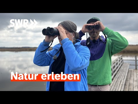 Raus ins Grüne! Frühling in Naturparks & Co | SWR Treffpunkt