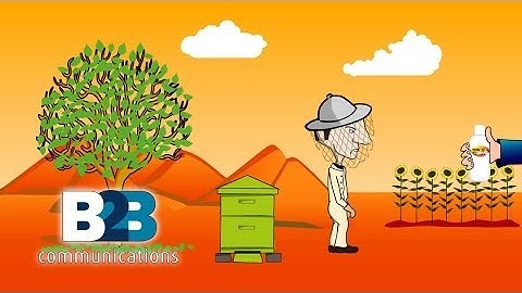 B2B Hivealive Explainer Video