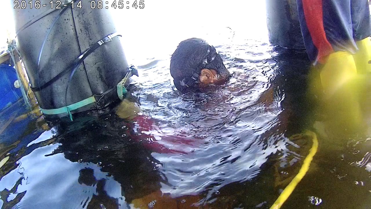 Pemasangan Splash guard /HDPE Tiang pancang dermaga penagi Natuna 2016-12-14